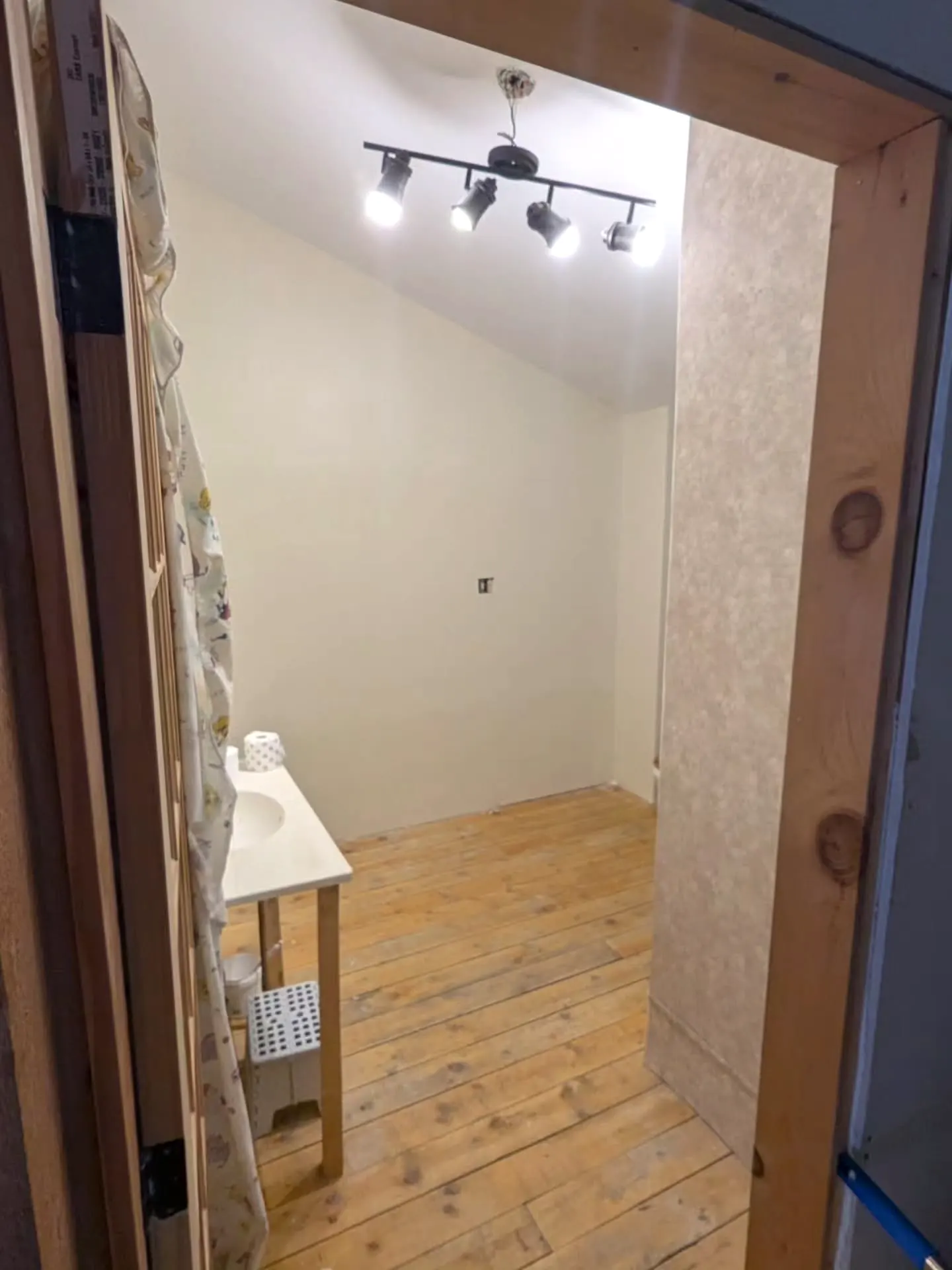 Bathroom with a new plank floor and track light