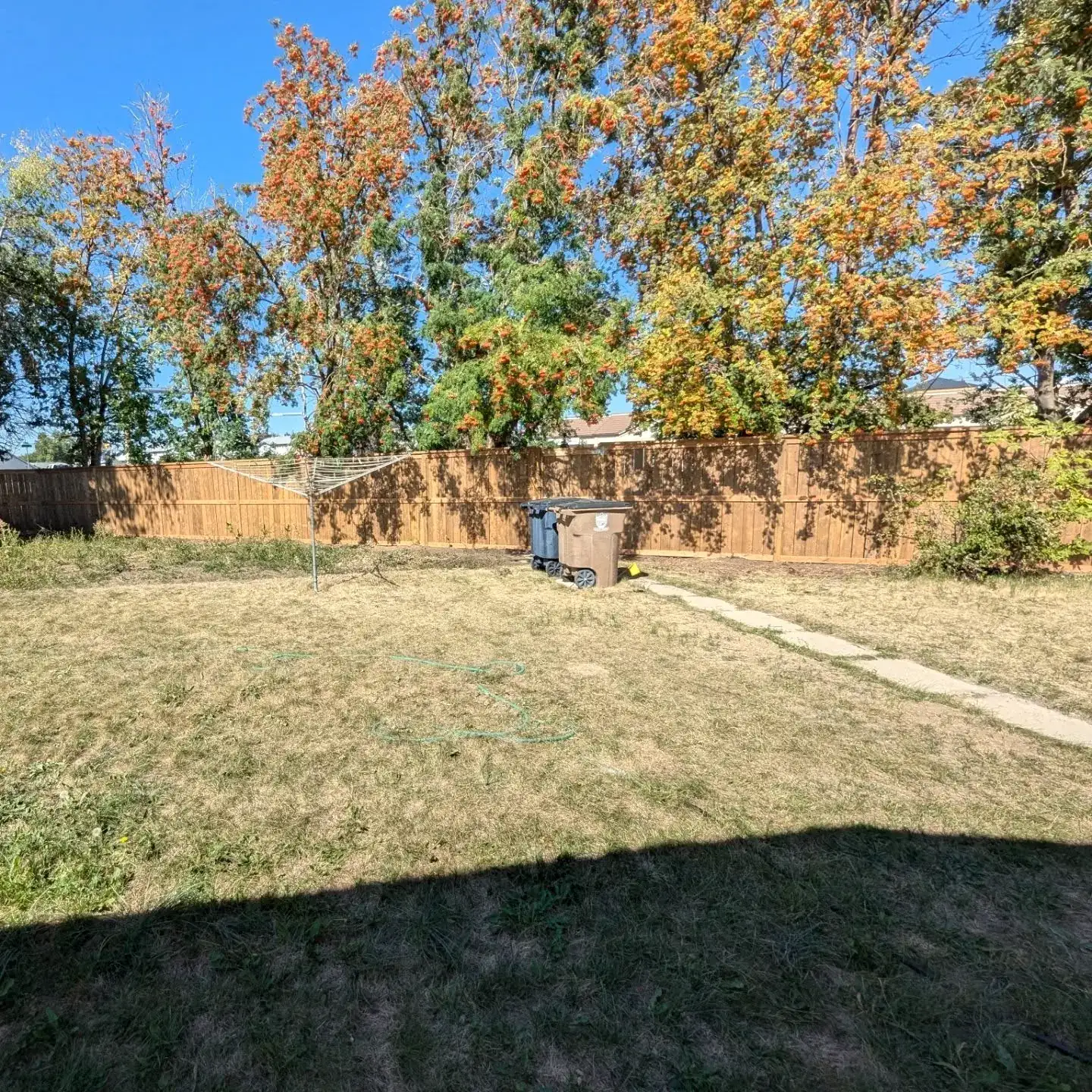New wood privacy fence along a back yard