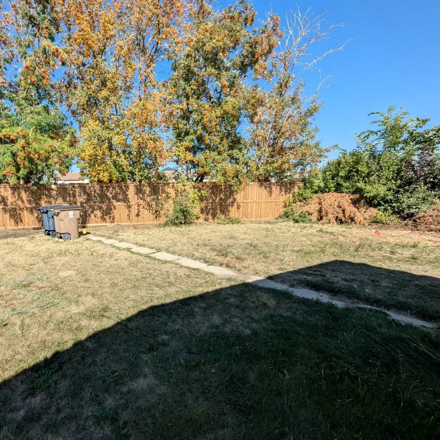 Long run of new wood privacy fence