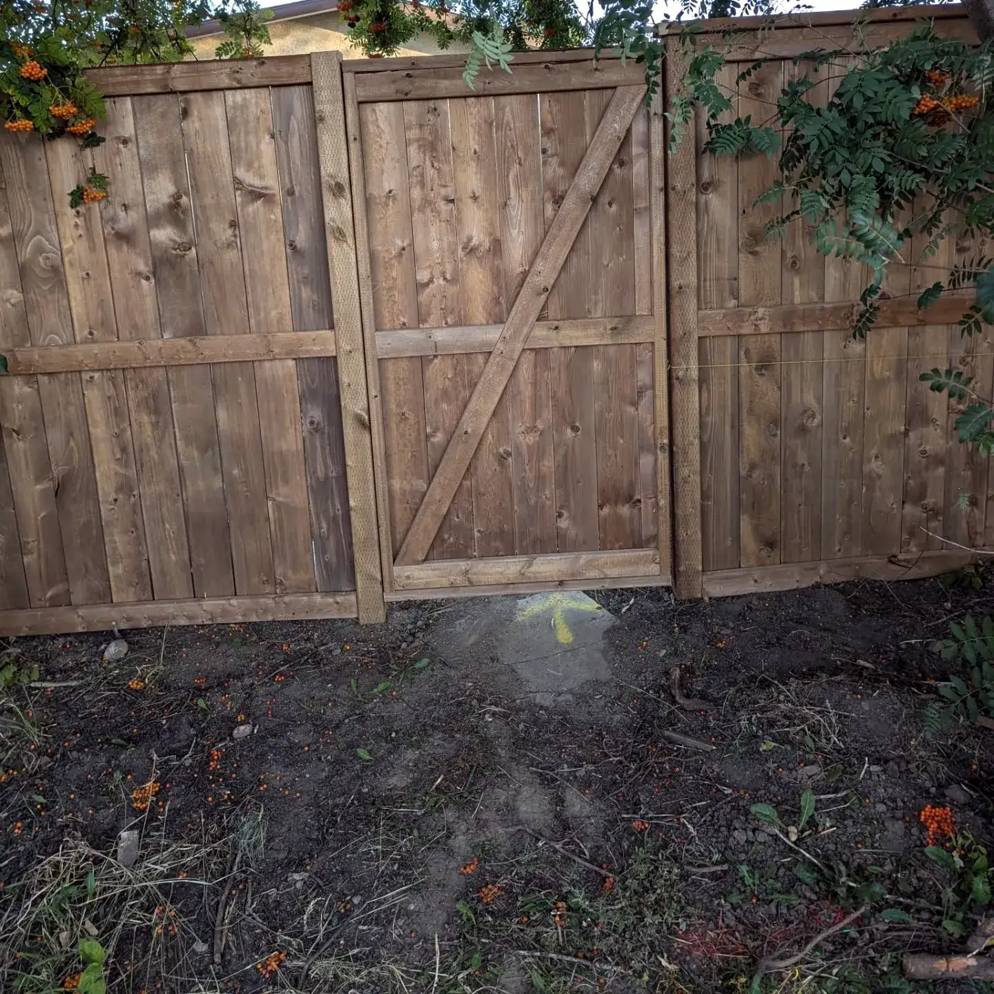 Wood double gate with Z-bracing