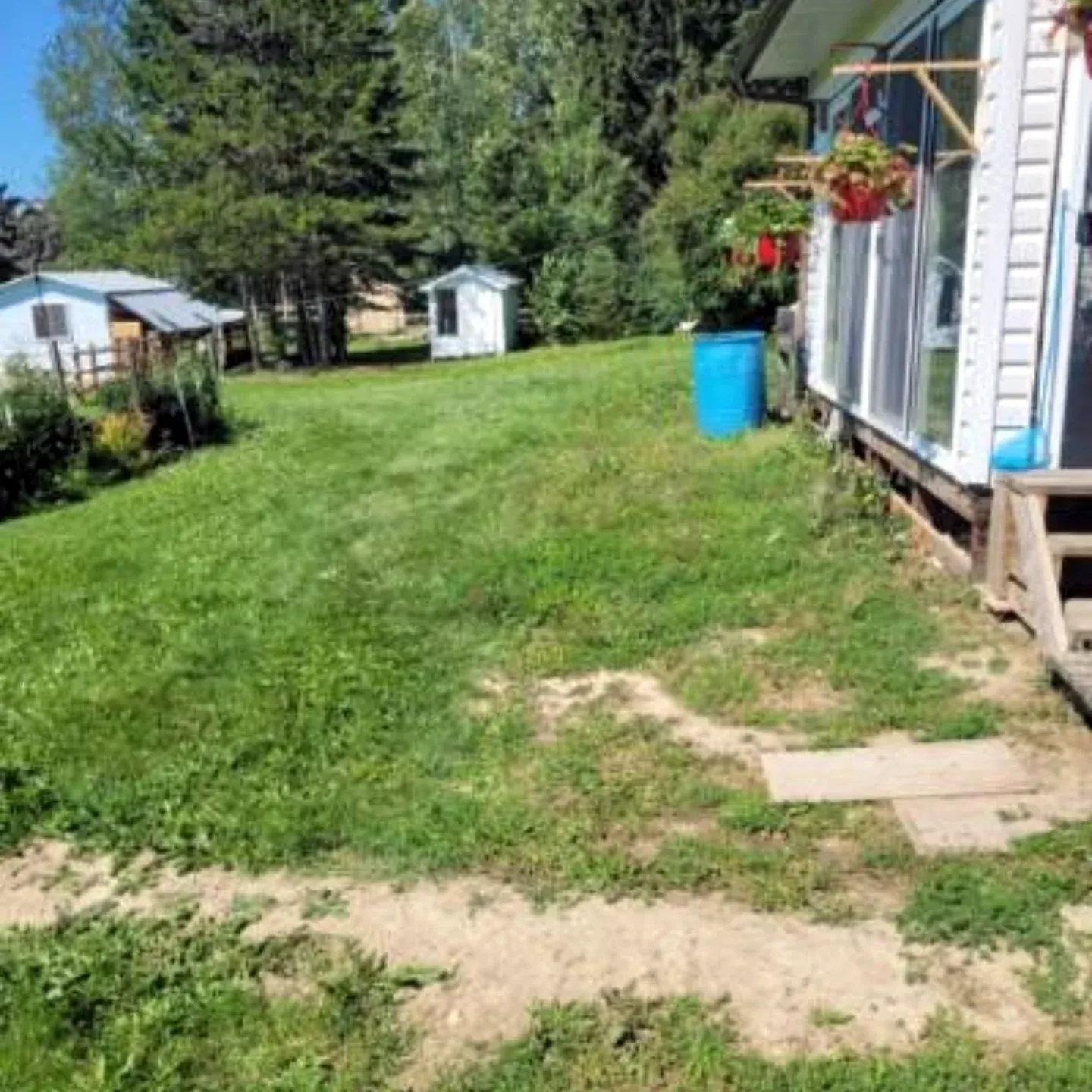 Before: lawn beside the house