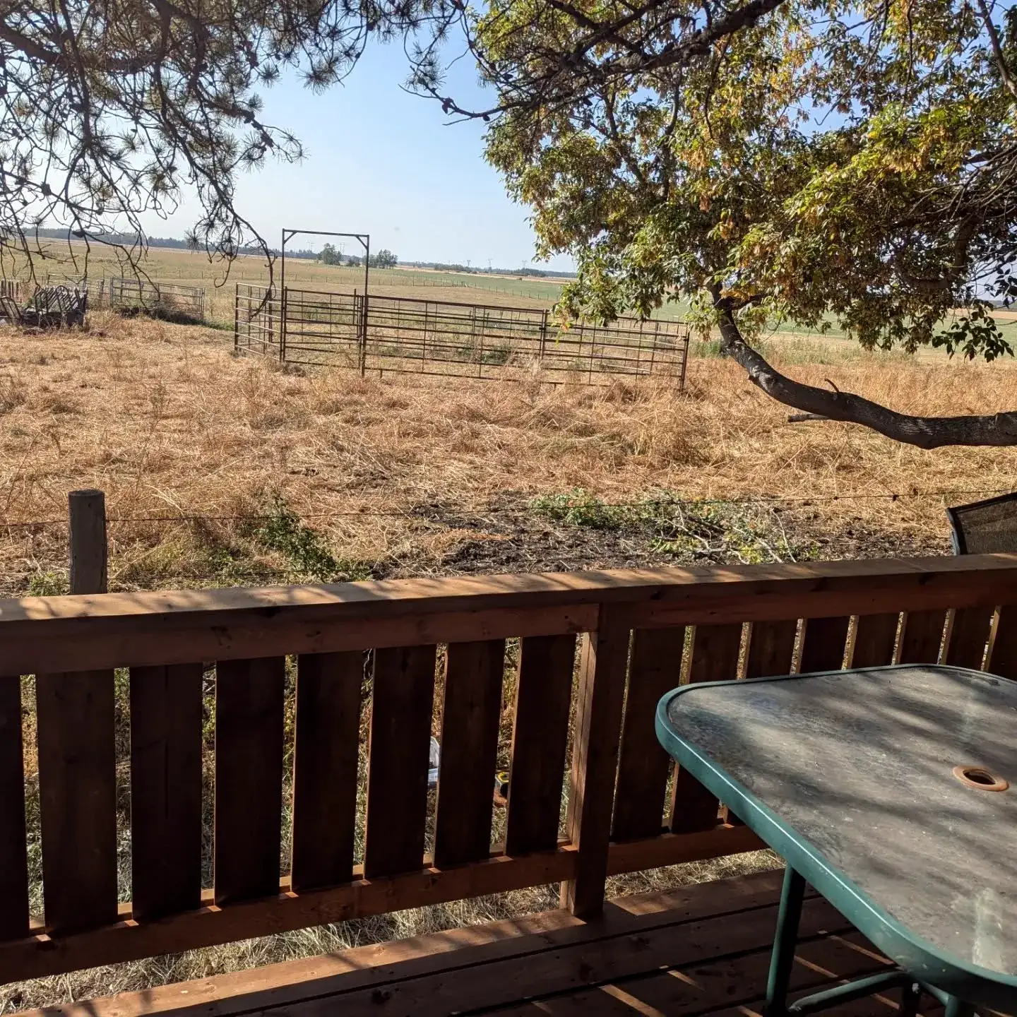 View over the fields from the deck railing